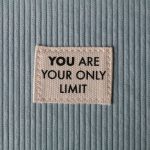 Inside the 2MB limit: how Googlebot’s fetch cap can hide your content